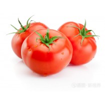 西紅柿(牛番茄)